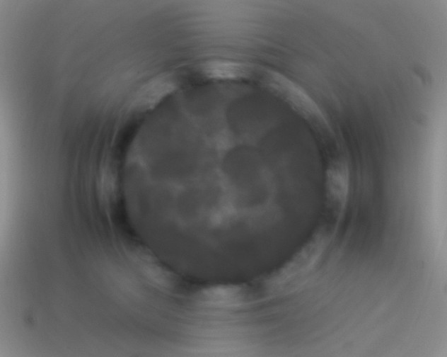 X0000113620422200910161957