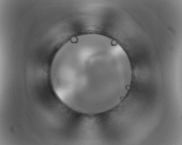 X0000113620423200910161957