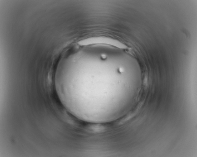 X0000113620424200910161957