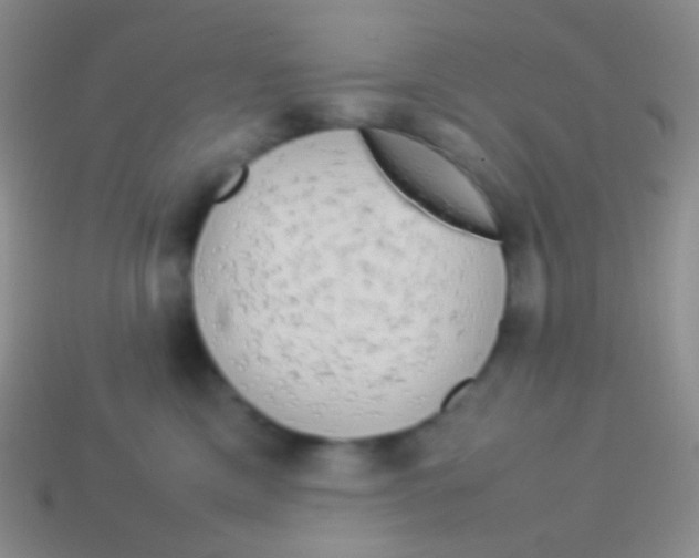 X0000113620425200910161957