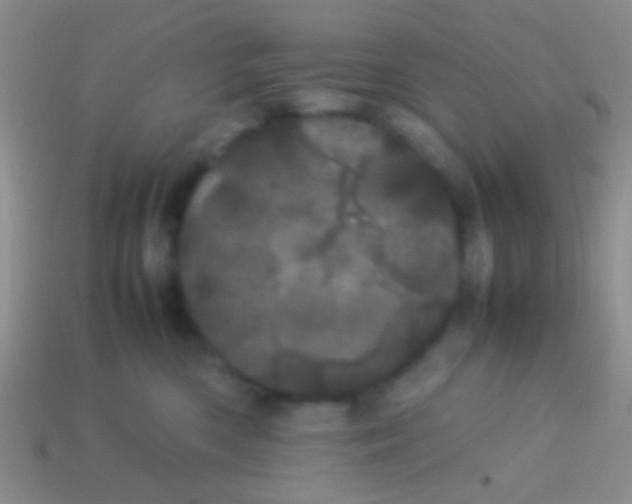 X0000113620426200910161957