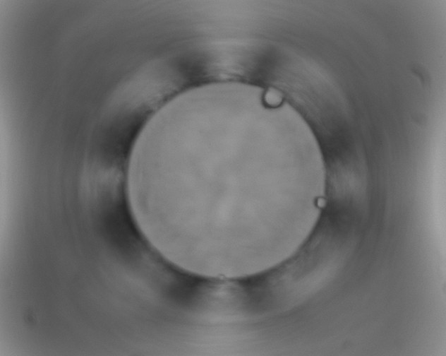 X0000113620427200910161957