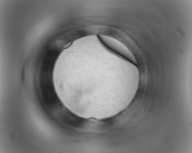 X0000113620429200910161957