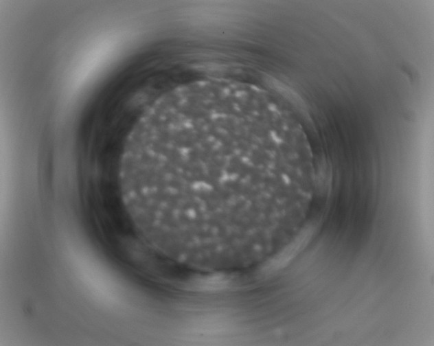 X0000113620430200910161957