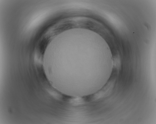 X0000113620431200910161957