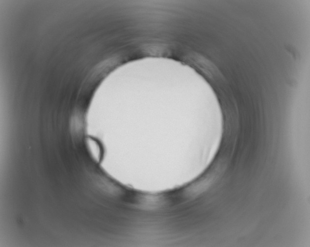 X0000113620432200910161957
