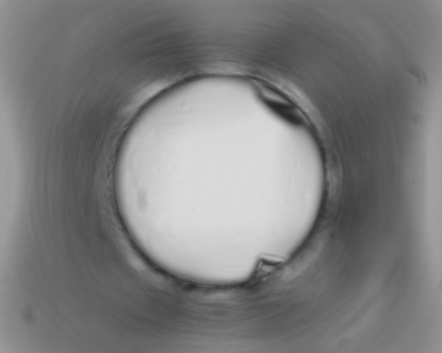 X0000113620433200910161956