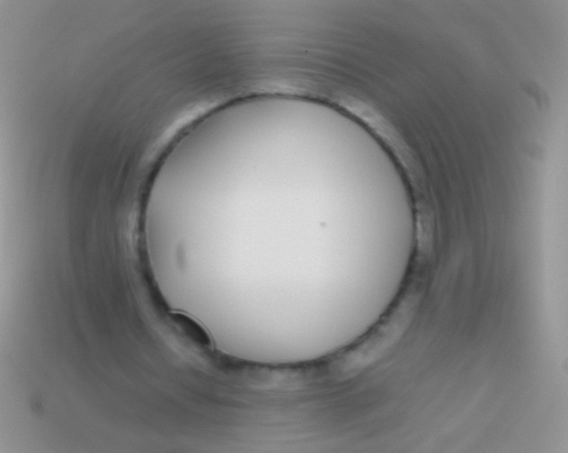 X0000113620434200910161956