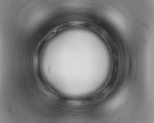 X0000113620435200910161956