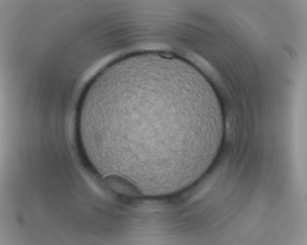 X0000113620436200910161956