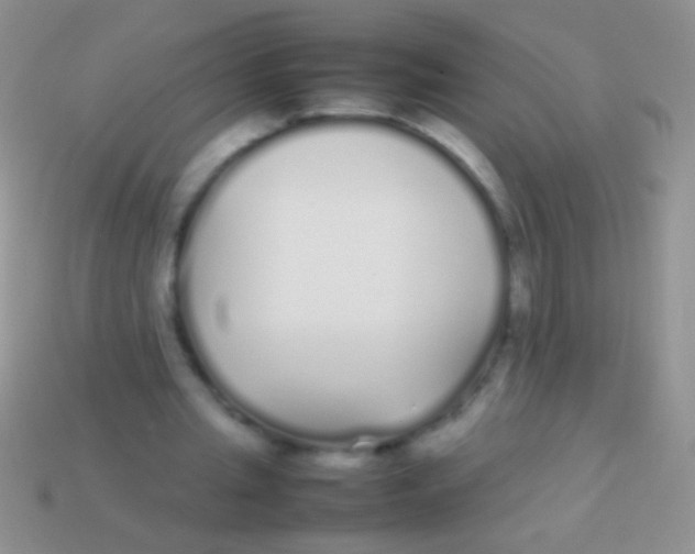 X0000113620437200910161957
