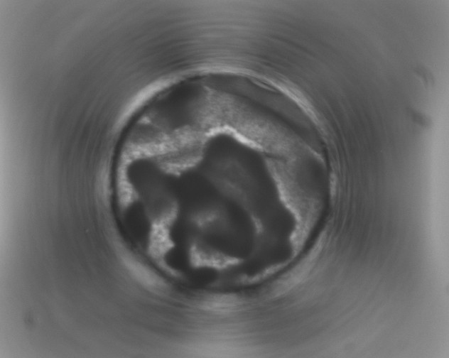 X0000113620438200910161957