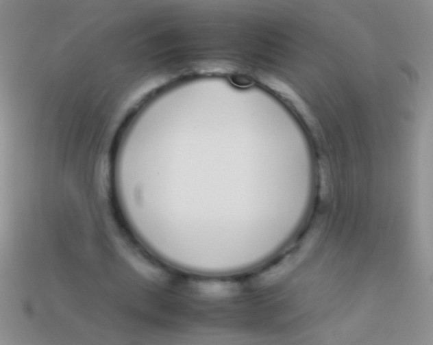 X0000113620439200910161957