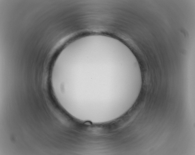 X0000113620440200910161957