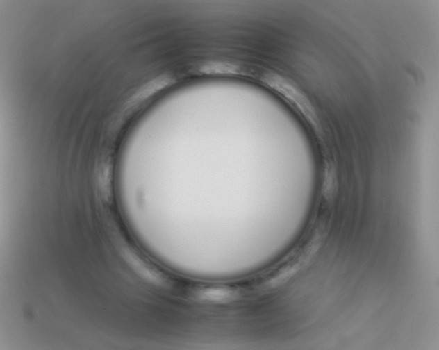 X0000113620441200910161957