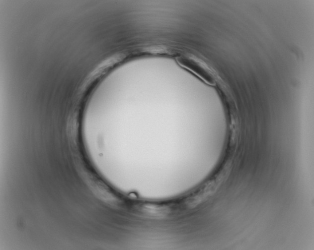 X0000113620442200910161957