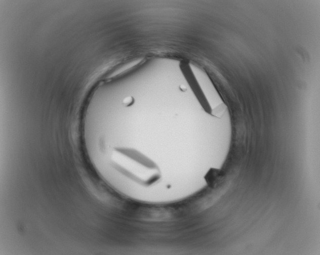 X0000113620443200910161957