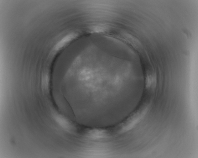 X0000113620444200910161957