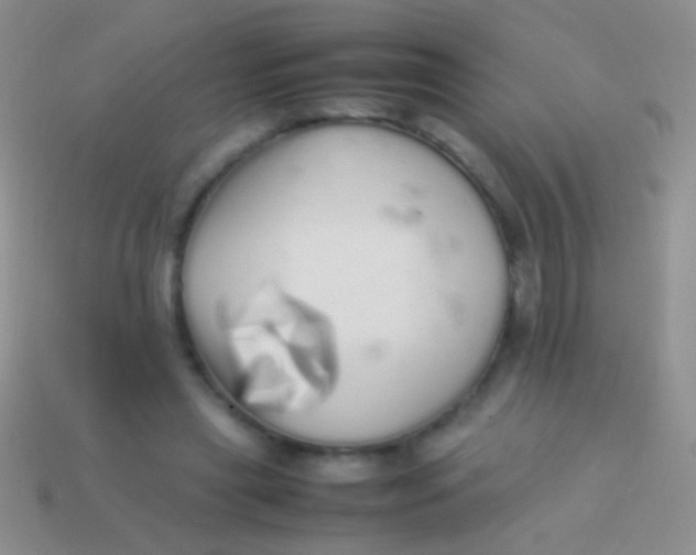 X0000113620445200910161957