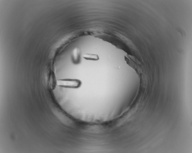 X0000113620446200910161957