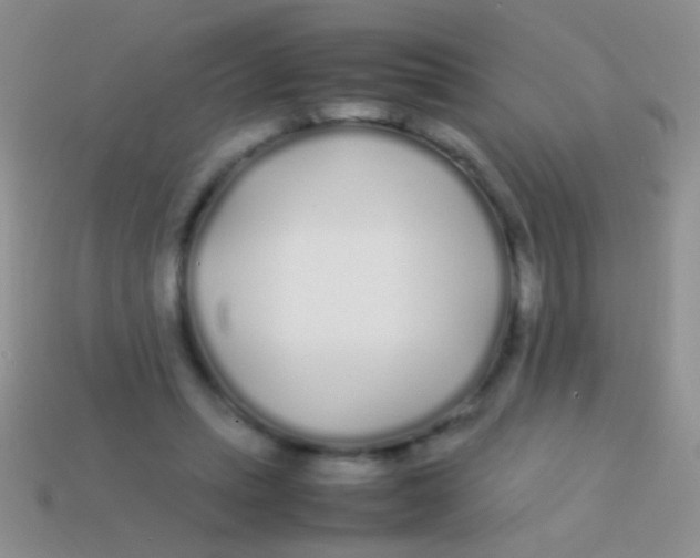 X0000113620447200910161957
