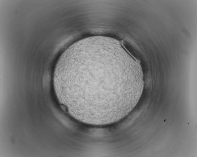 X0000113620448200910161957