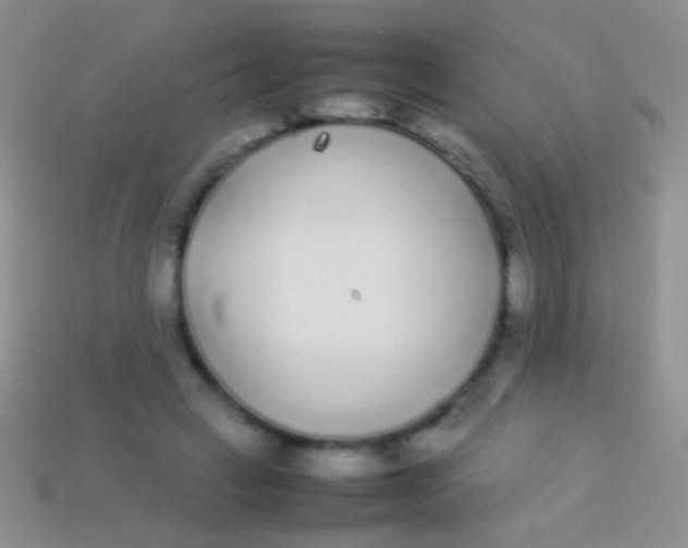 X0000113620449200910161957