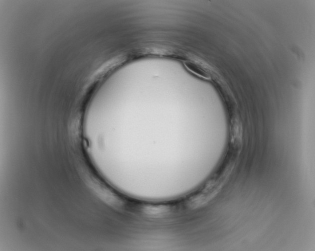 X0000113620450200910161957
