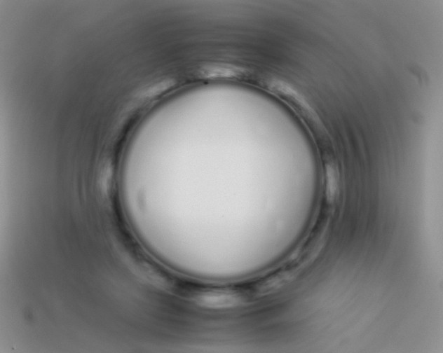 X0000113620451200910161957
