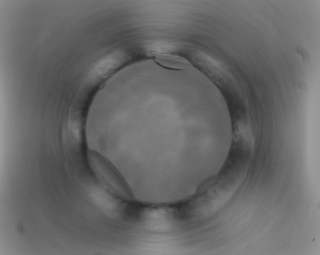 X0000113620452200910161957
