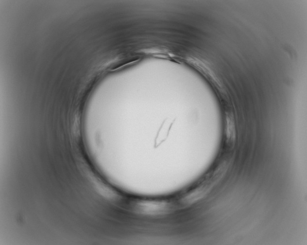 X0000113620453200910161957