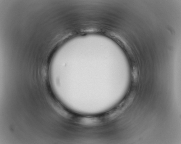 X0000113620455200910161957