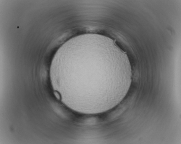 X0000113620456200910161957