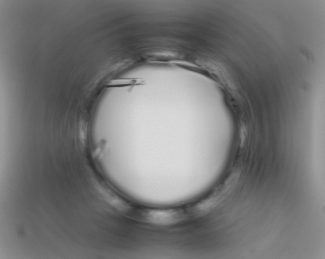 X0000113620457200910161957