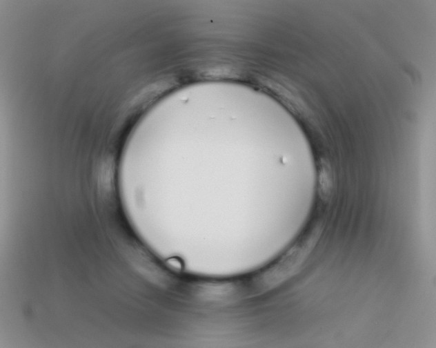 X0000113620458200910161957
