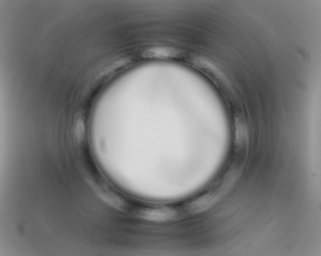 X0000113620459200910161957