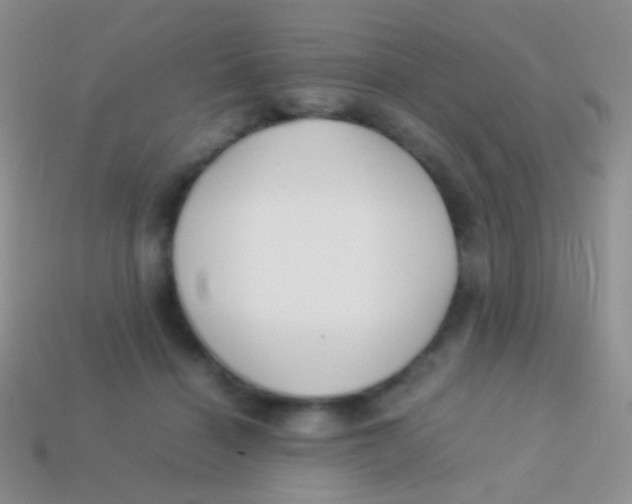 X0000113620460200910161957