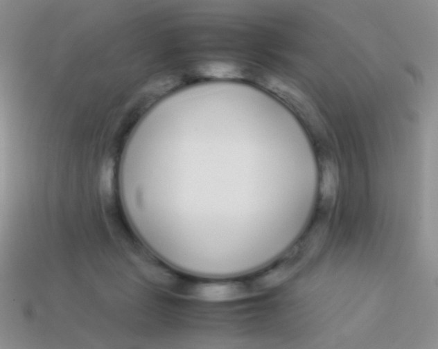 X0000113620461200910161957
