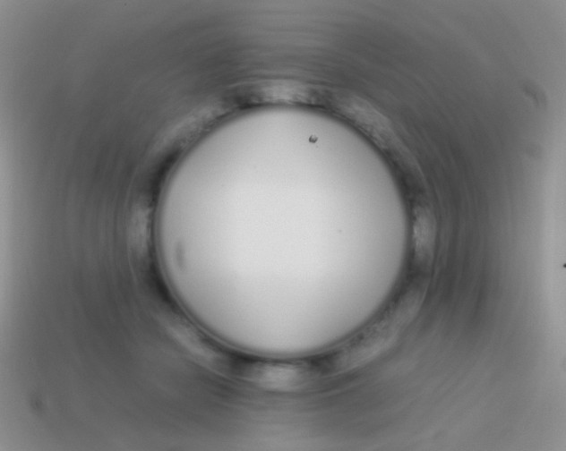 X0000113620462200910161957