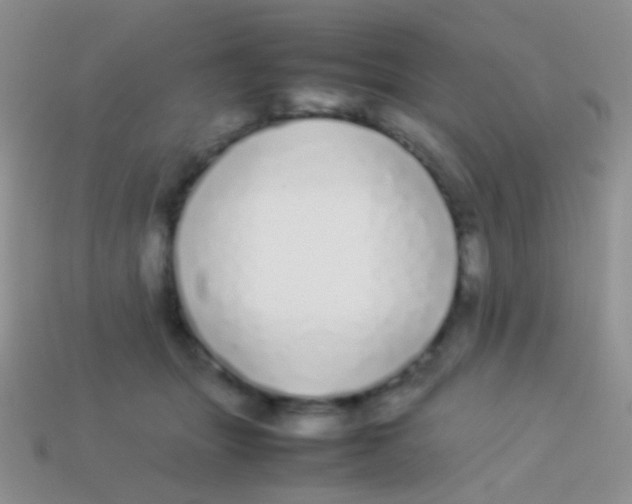 X0000113620463200910161957