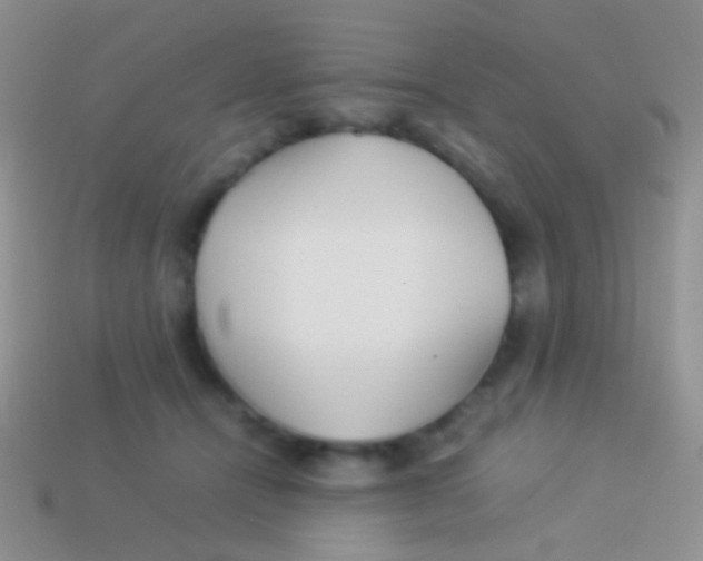 X0000113620464200910161957