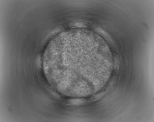 X0000113620465200910161957