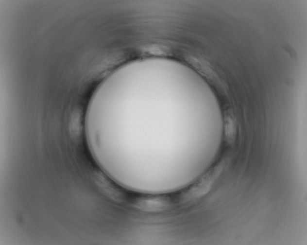 X0000113620466200910161957