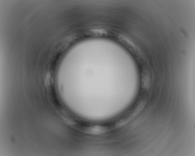 X0000113620467200910161957