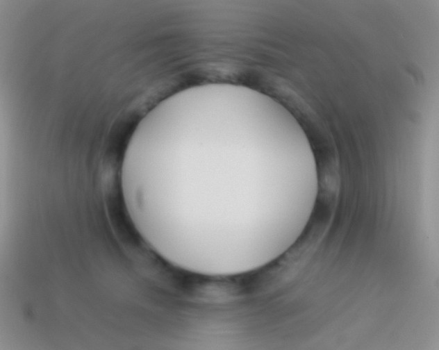 X0000113620468200910161957