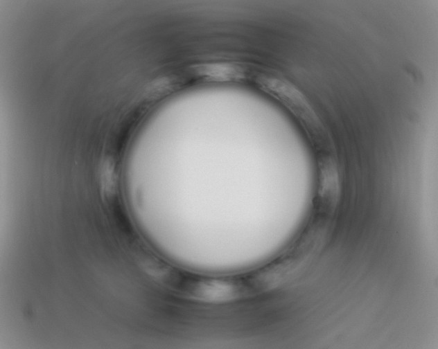 X0000113620469200910161957