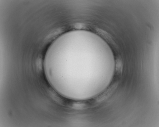 X0000113620470200910161957