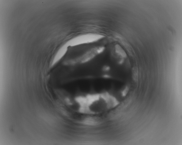 X0000113620471200910161957