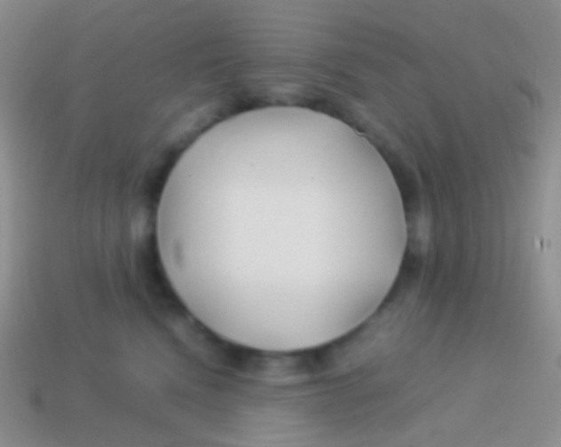X0000113620472200910161957