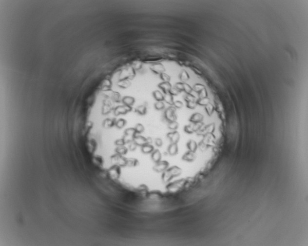 X0000113620473200910161957